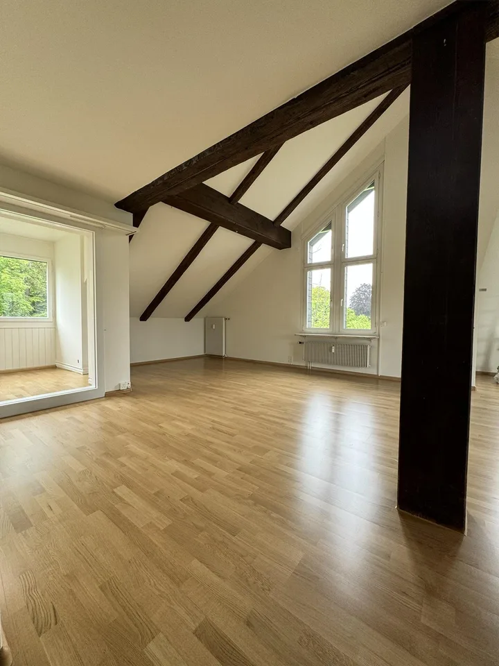 Traumhafte 5.5-Zimmerwohnung am Fusse des Tüllingerhügels in Riehen