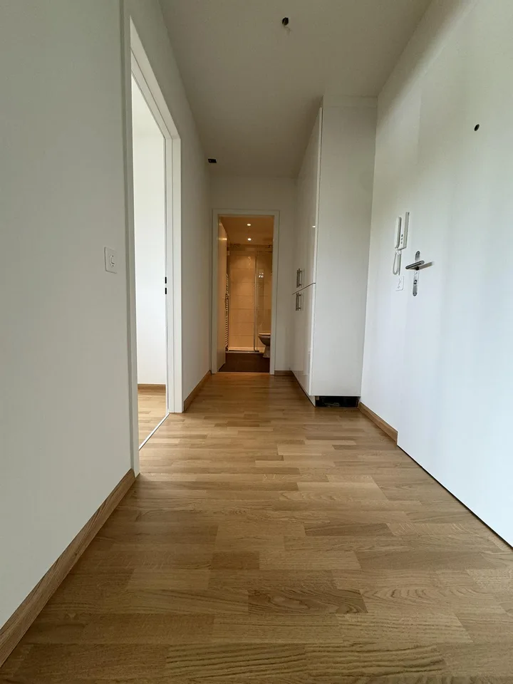 Traumhafte 5.5-Zimmerwohnung am Fusse des Tüllingerhügels in Riehen – Foto 11 von 22