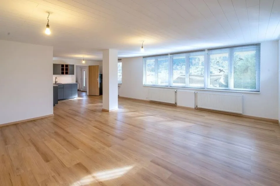 Attraktives 1.5-Zimmer Studio mit herrlichem Blick in Ebikon zur Miete