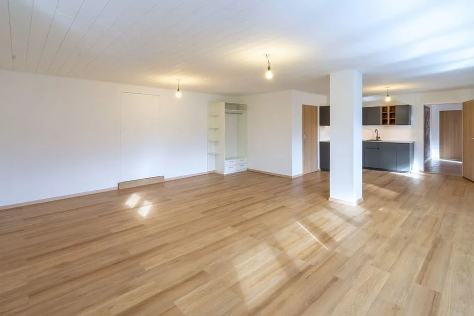 Attraktives 1.5-Zimmer Studio mit herrlichem Blick in Ebikon zur Miete
