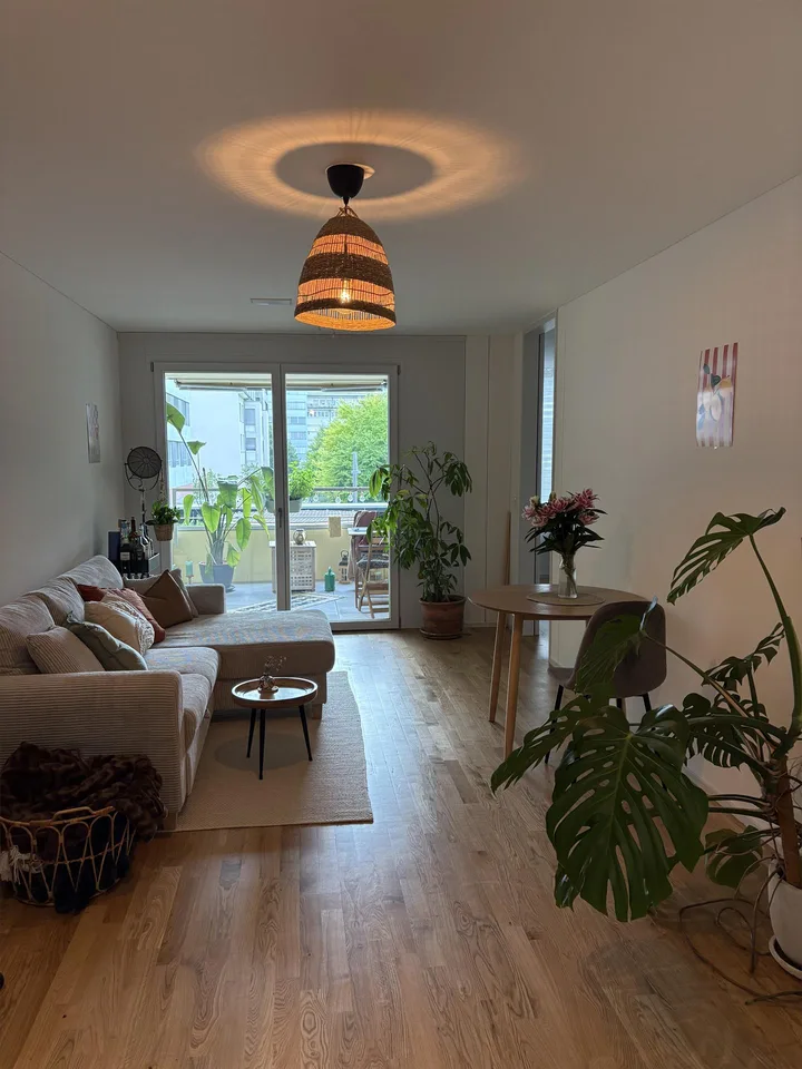 Neue 2.5 Zimmer Wohnung im gemütlichen Tribschenquartier
