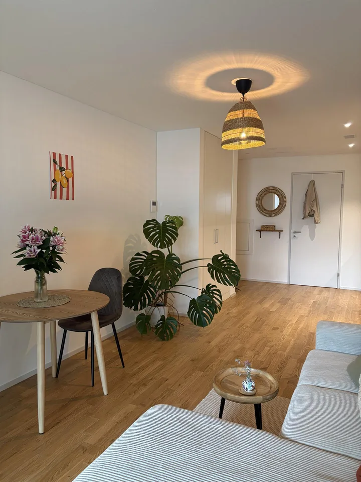 Neue 2.5 Zimmer Wohnung im gemütlichen Tribschenquartier