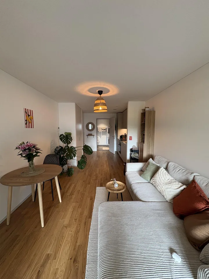 Neue 2.5 Zimmer Wohnung im gemütlichen Tribschenquartier