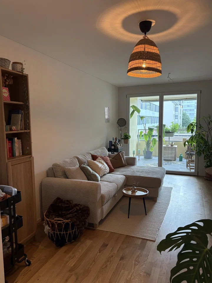 Neue 2.5 Zimmer Wohnung im gemütlichen Tribschenquartier