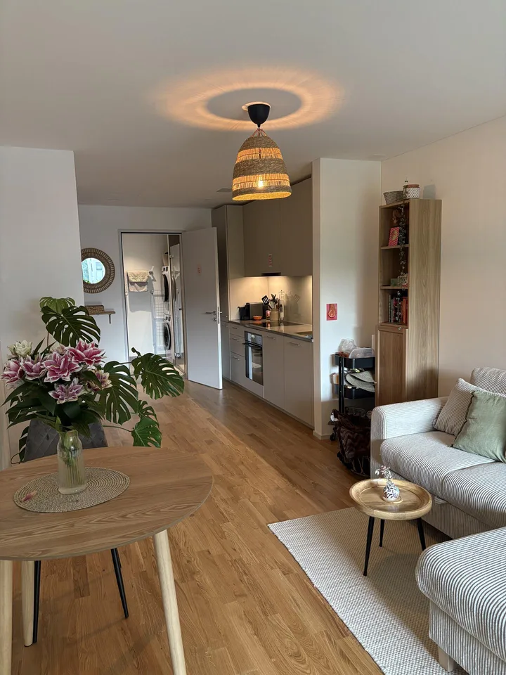 Neue 2.5 Zimmer Wohnung im gemütlichen Tribschenquartier