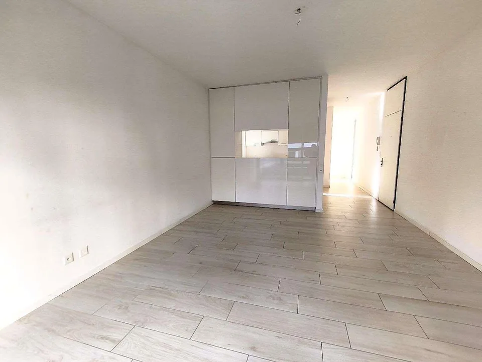 Lugano Cassarate - Splendido 4.5 Locali (Quadrilocale) in Zona Residen