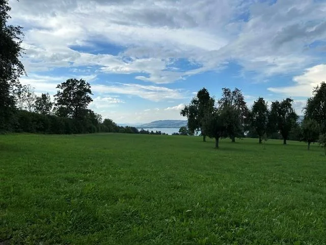 Wohnen mit Weitblick –