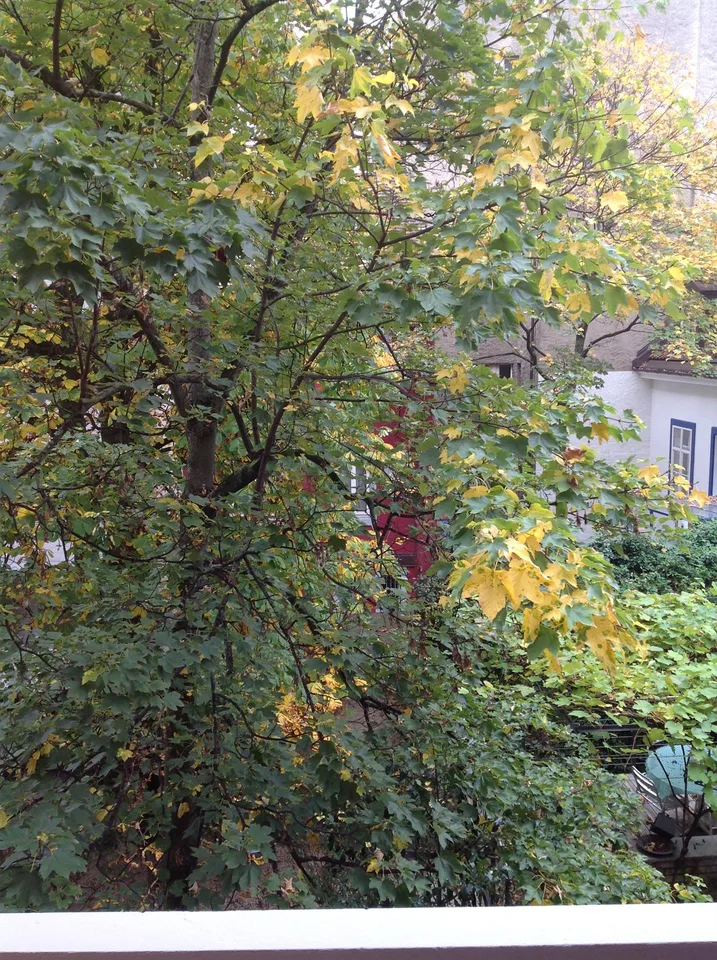 Helle zentrale 2-Zimmerwohnung im St. Johann mit Balkon