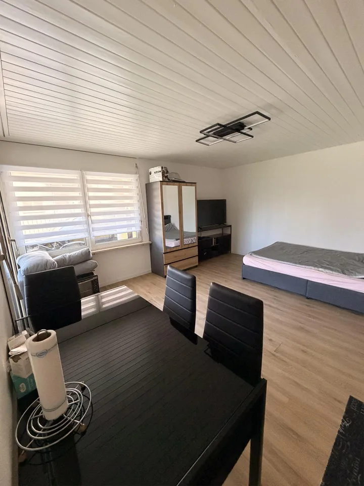 Sonnige 1 1/2 Zi.-Whg. in ruhigem Wohnquartier zu vermieten