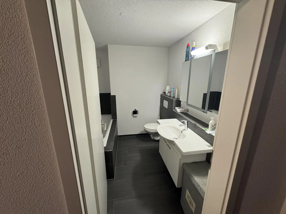 3 1/2 Zimmer Wohnung im Eigentumsstandar