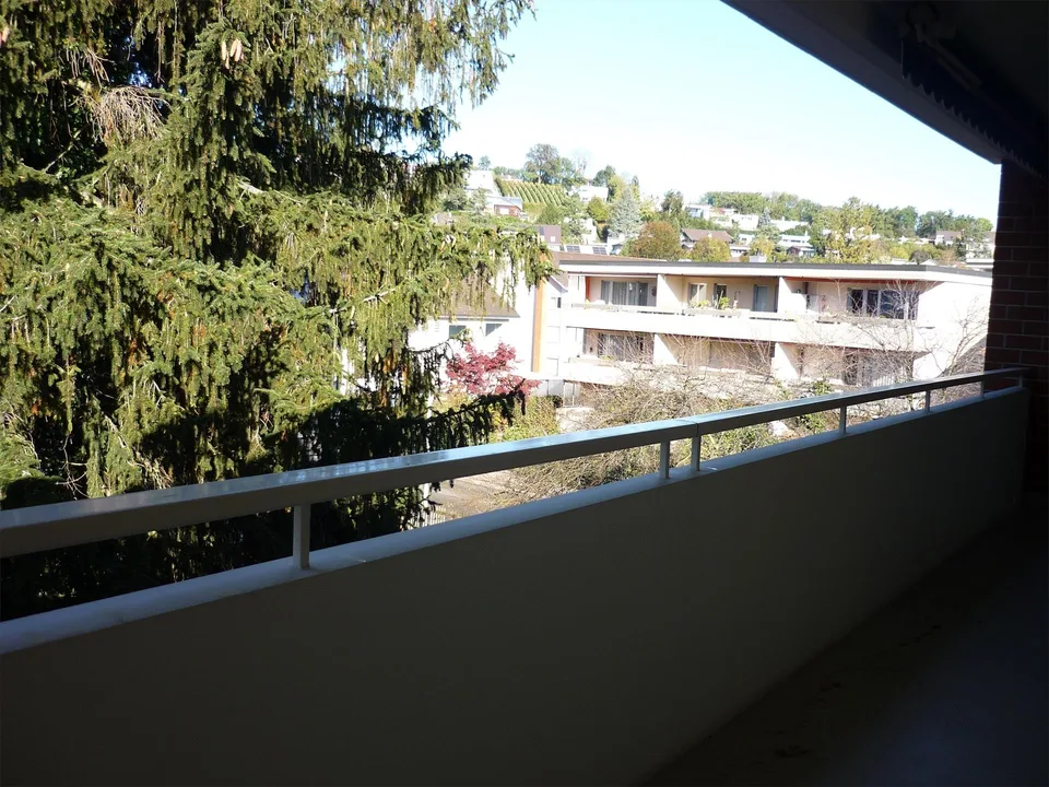 Grosse, 4-Zi-Whg (103m²) mit eigenem Waschturm im Zentrum von Reinach – foto 14 di 17