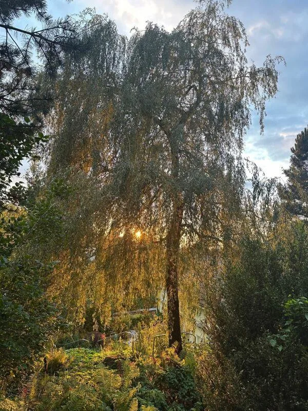 Grosszügiges Einfamilienhaus mit Gartenparadies, Sauna & Schwimmteich – Foto 27 von 30