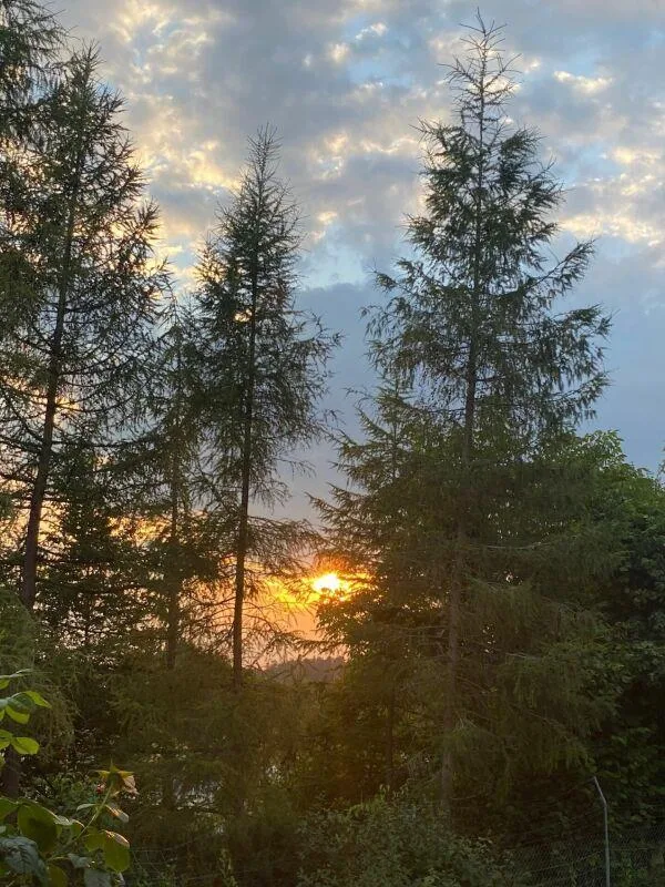 Grosszügiges Einfamilienhaus mit Gartenparadies, Sauna & Schwimmteich – Foto 28 von 30