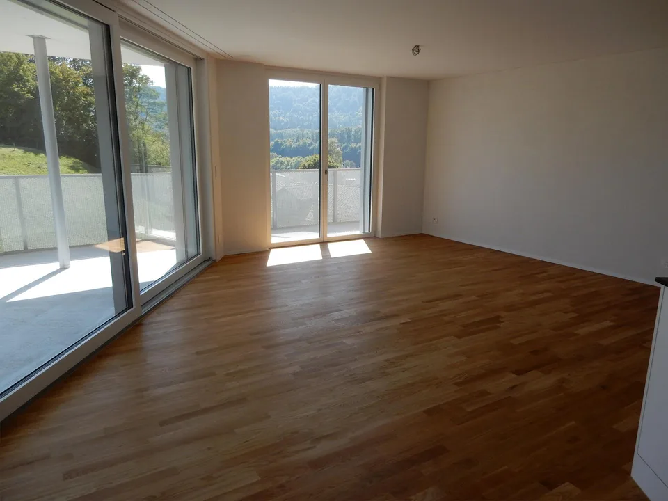 2.5-Zimmer-Wohnung in Schaffhausen