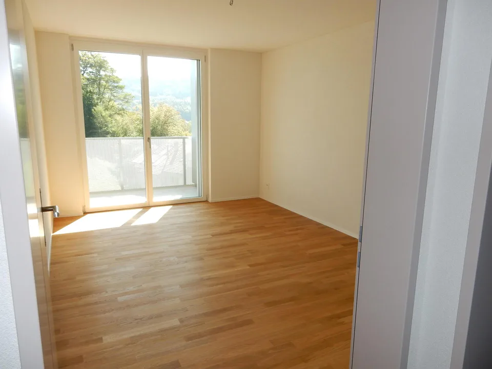 2.5-Zimmer-Wohnung in Schaffhausen