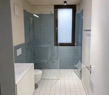 Stilvolle Wohnung in neu umgebautem Chalet