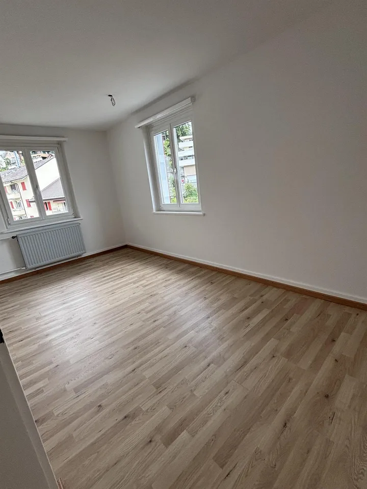2x 3-Zimmerwohnung in Luzern
