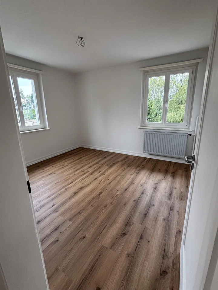 2x 3-Zimmerwohnung in Luzern
