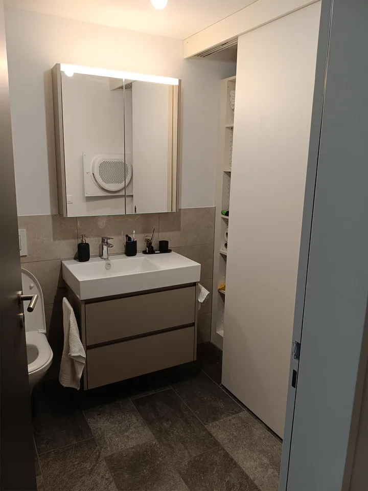 Grosszügige 4.5-Zimmer Wohnung in Pfäffikon SZ mit Seeblick