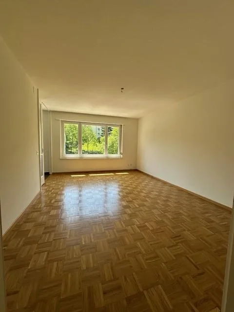 Gemütliche 1.5-Zimmerwohnung in Zürich