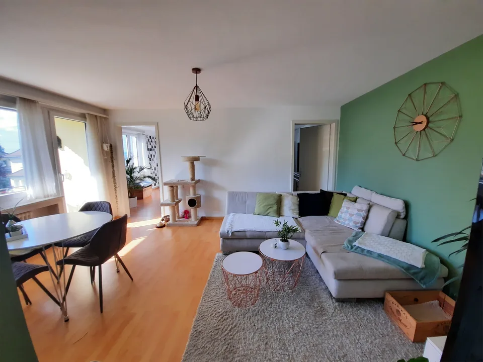 3 Zimmer-Wohnung