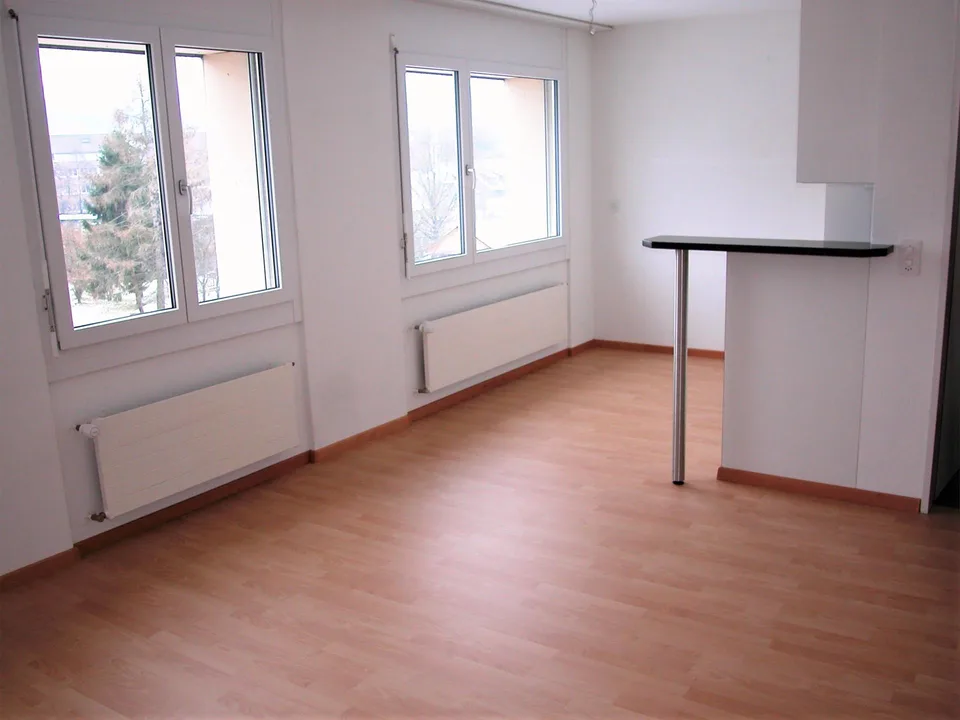 Attraktive Singlewohnung in Suhr
