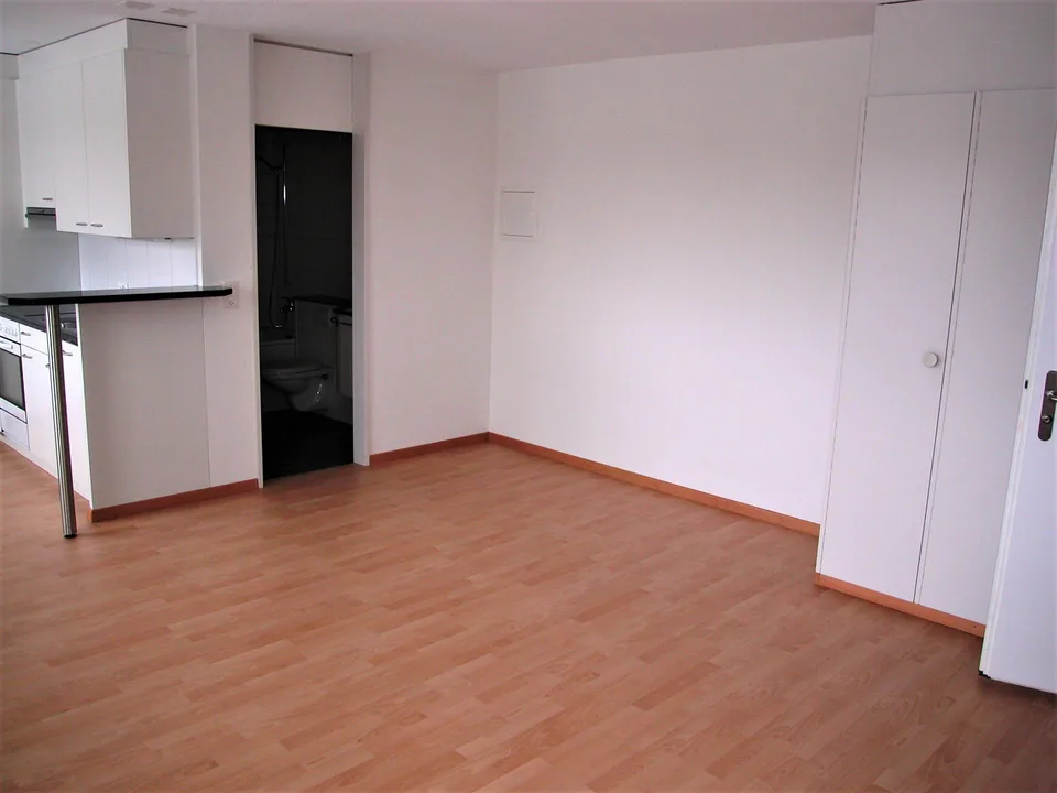 Attraktive Singlewohnung in Suhr