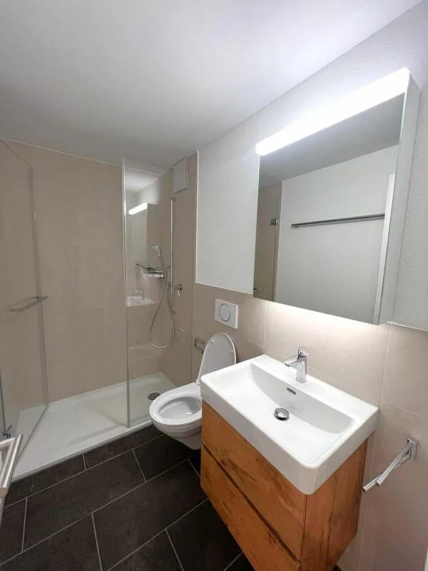 Modern 1.5 room apartment in Zug