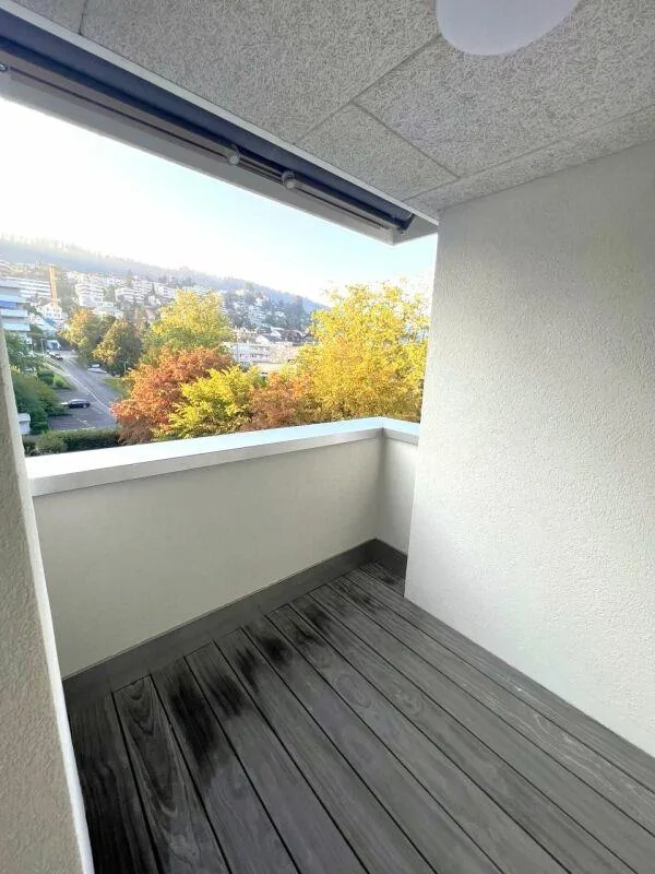 Modern 1.5 room apartment in Zug