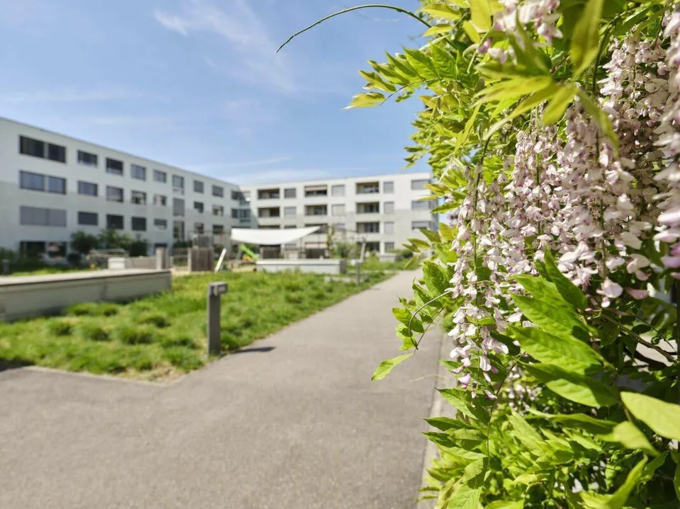 2.5-Zimmerwohnung Erdgeschoss