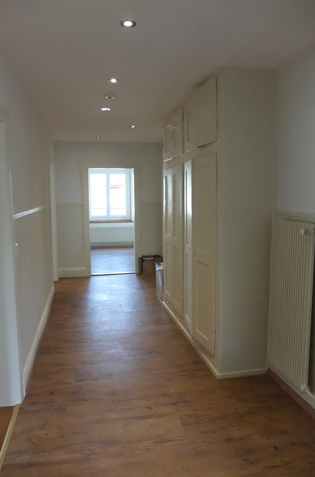 moderne und helle Wohnung im Altbau mit grossem Balkon, Nähe Zentrum