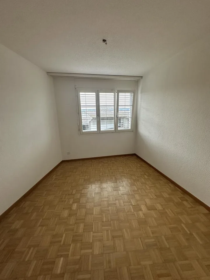 Appartement charmant au cœur de Wolfhausen