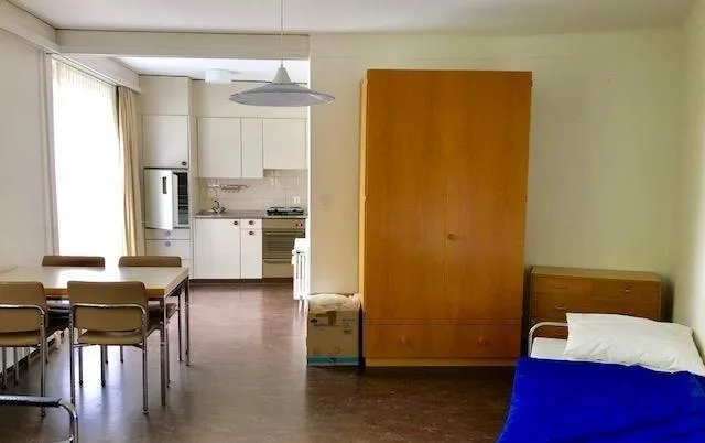 Apartment seeks single