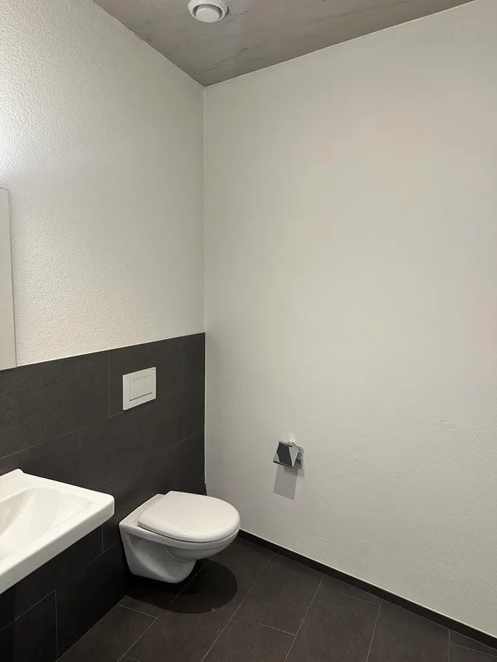 Moderne Gewerbefläche an bester Lage in Heerbrugg inkl. Parkplatz – photo 9 sur 9
