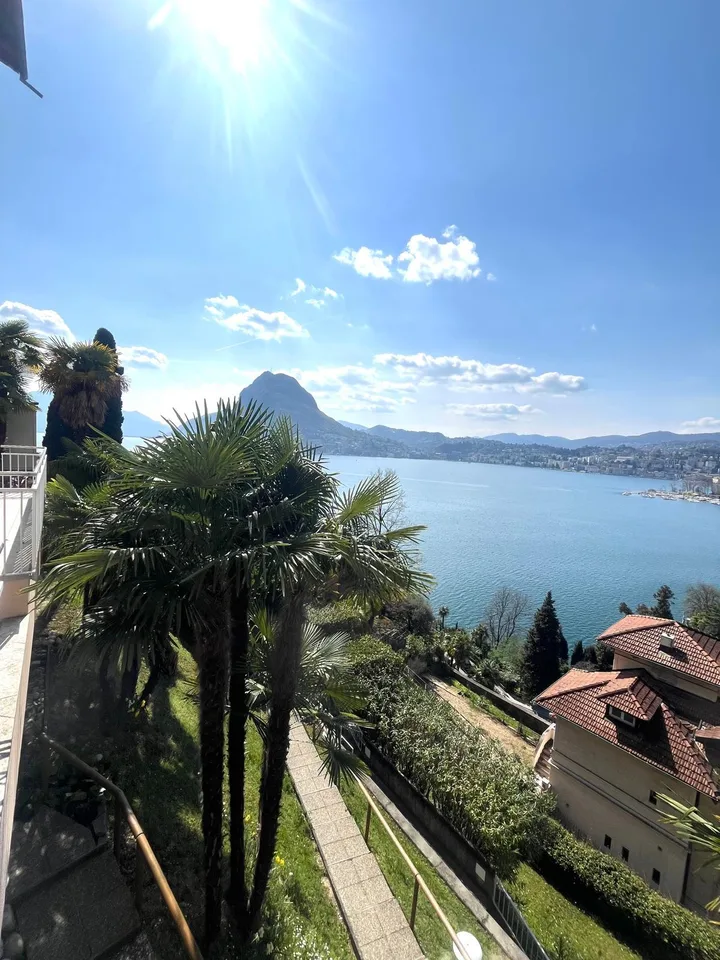 APPARTAMENTO 2.5 LOCALI CON MERAVIGLIOSA VISTA LAGO – foto 12 di 13