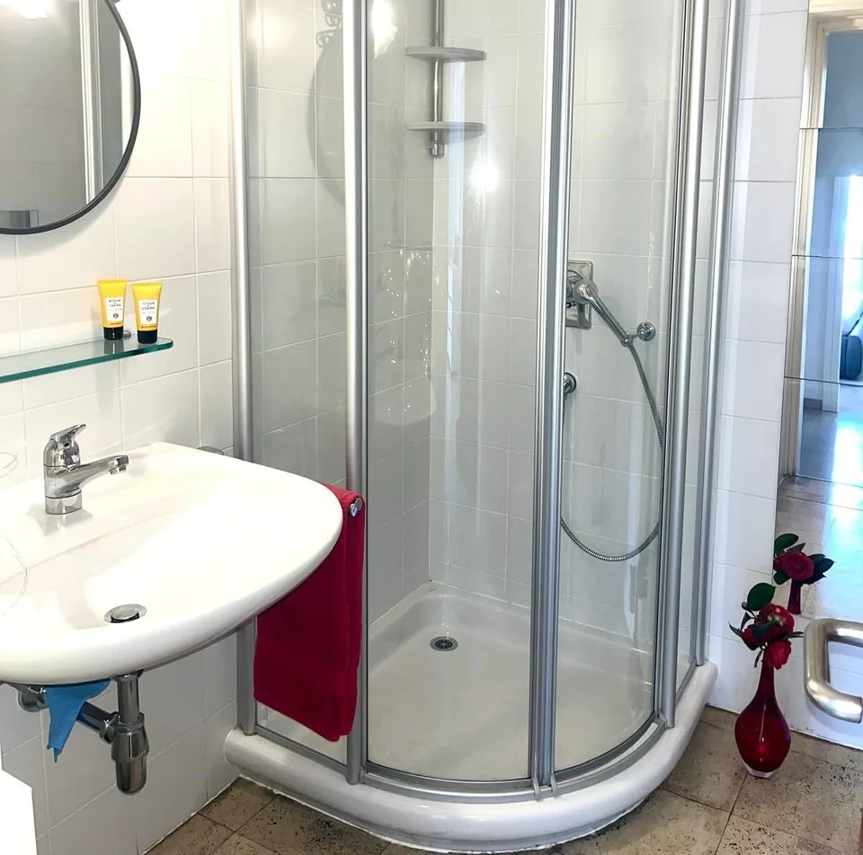 APPARTAMENTO 2.5 LOCALI CON MERAVIGLIOSA VISTA LAGO – foto 10 di 13
