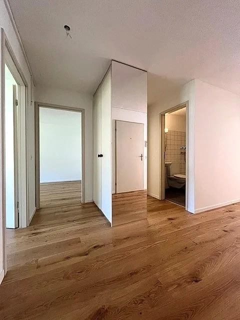 Neu renovierte Wohnung mit Cheminée auf oberster Etage