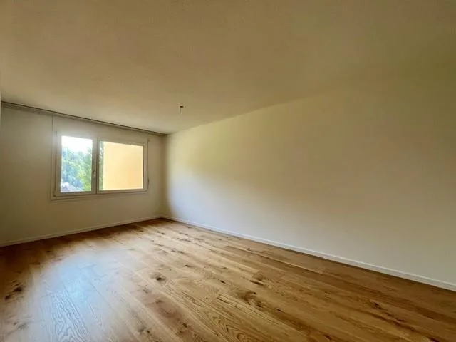 Neu renovierte Wohnung mit Cheminée auf oberster Etage