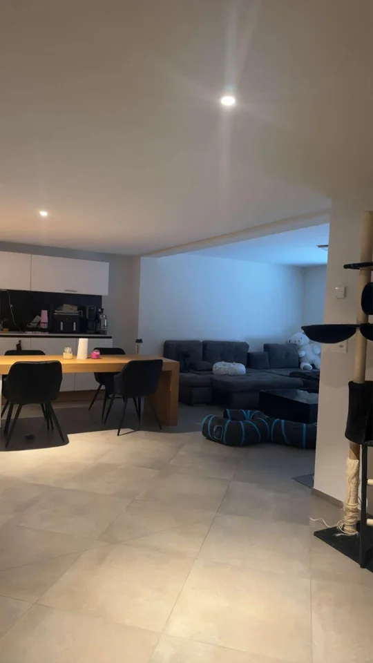 Geräumige 4.5 Zimmer Wohnung in der Gemeinde Hallau