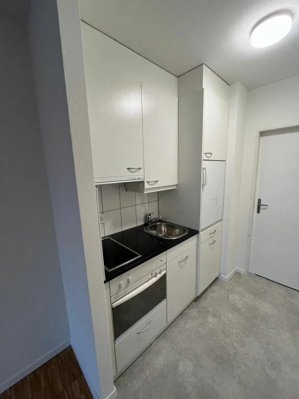 1-Zimmerwohnung mit Sicht auf Pilatus