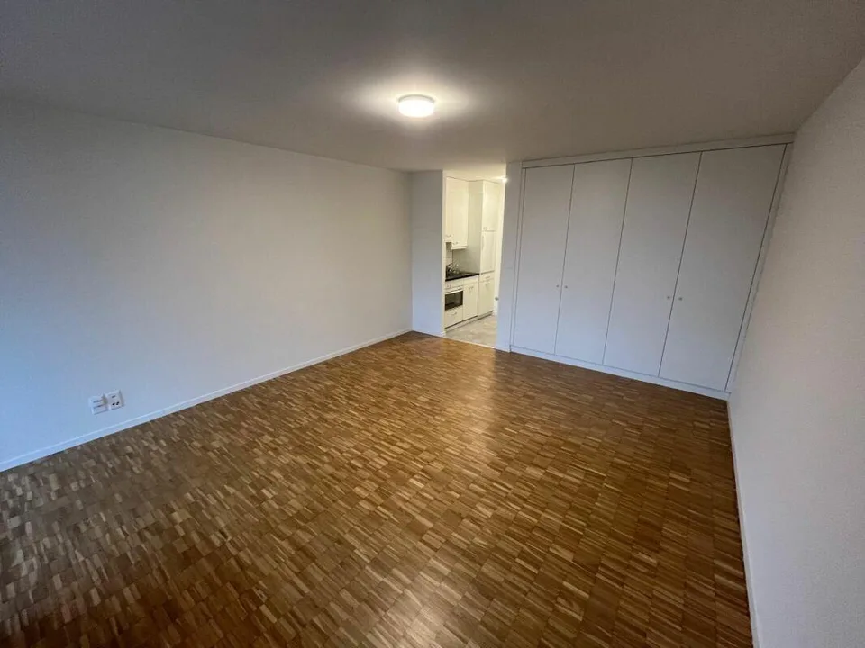 1-Zimmerwohnung mit Sicht auf Pilatus