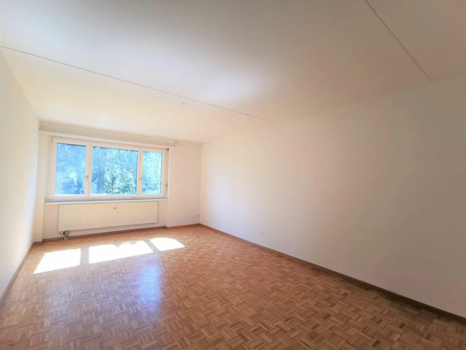 Appartement cosy de 3,5 pièces à Muttenz