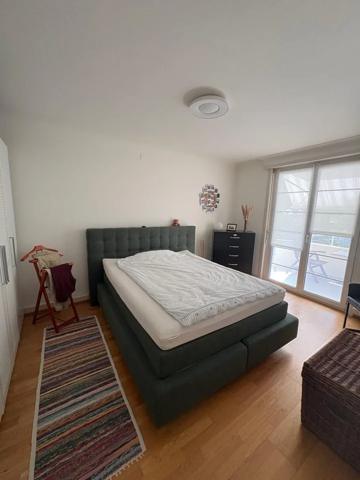 3.0 bedroom apartment in Basel