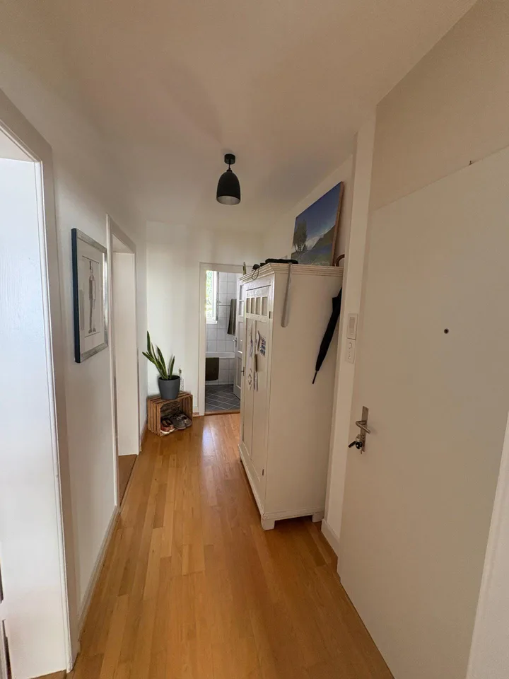 3.0 bedroom apartment in Basel