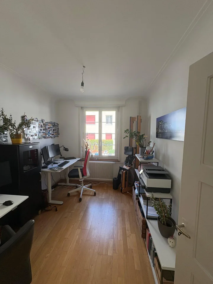 3.0 bedroom apartment in Basel
