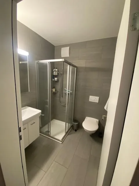 Moderne Attikawohnung