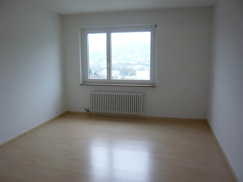 3.5 Zimmerwohnung in Aesch BL