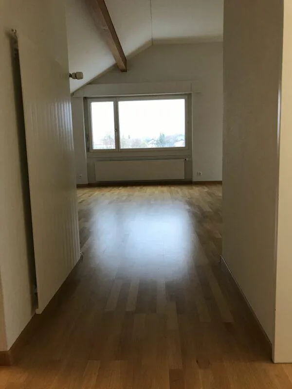 1-Zimmer-Dachwohnung