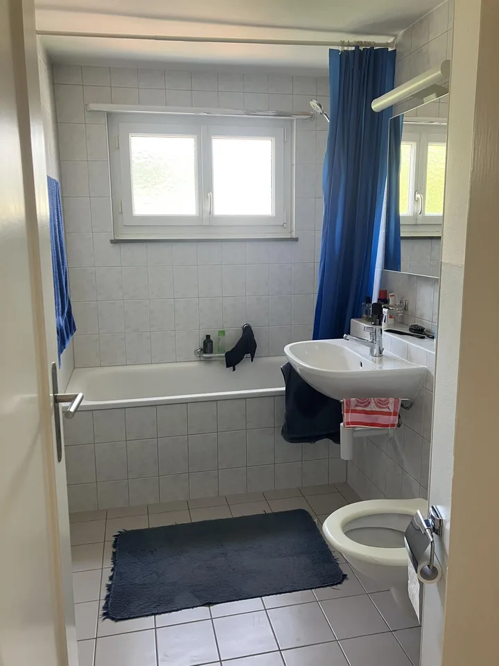 2-Zimmer Dachwohnung