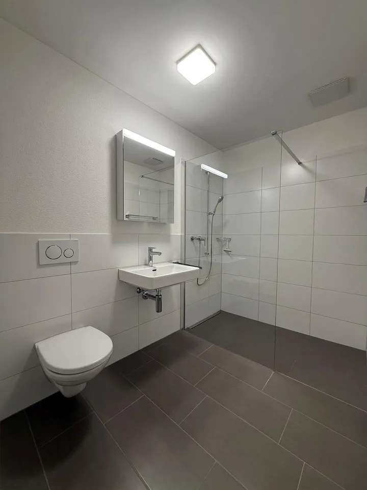 4.5 Zimmer Wohnung in Root zu vermieten!